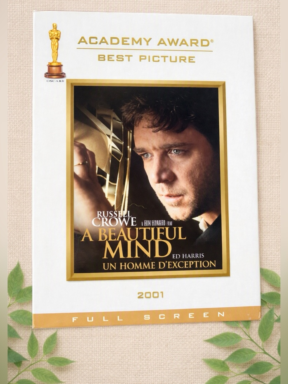 📀 A Beautiful Mind – Full Screen DVD
